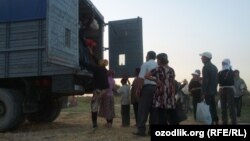 Students being transported in the back of trucks to pick cotton in Uzbekistan's Jizzakh region, 6Sep2012