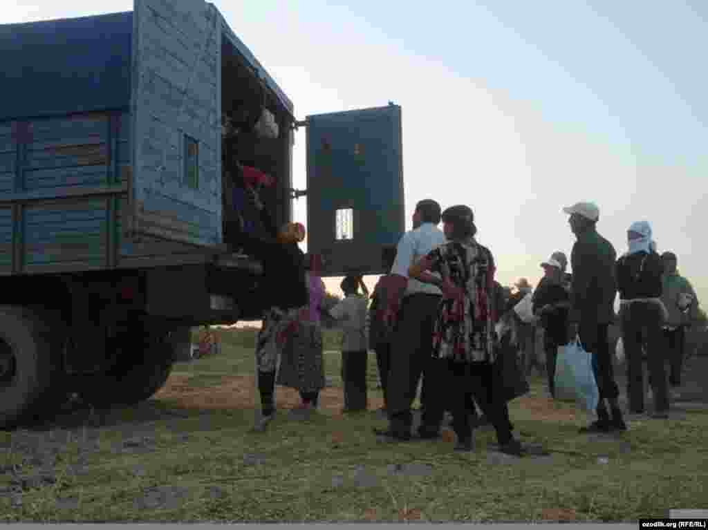 Officials in Jizzakh District have deployed trucks to transport people to the fields, saying that there are not enough buses.