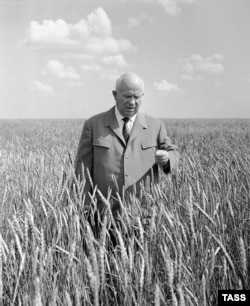 Никита Хрущев в поле