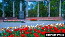Тюльпаны в Бишкеке. Иллюстративное фото. 