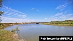 Пойма реки Урал. Иллюстративное фото.