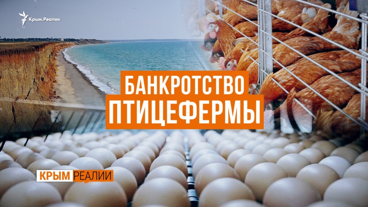 В Севастополе отмечают значительный рост цен на яйца - газета «Кафа»  новости Феодосии и Крыма