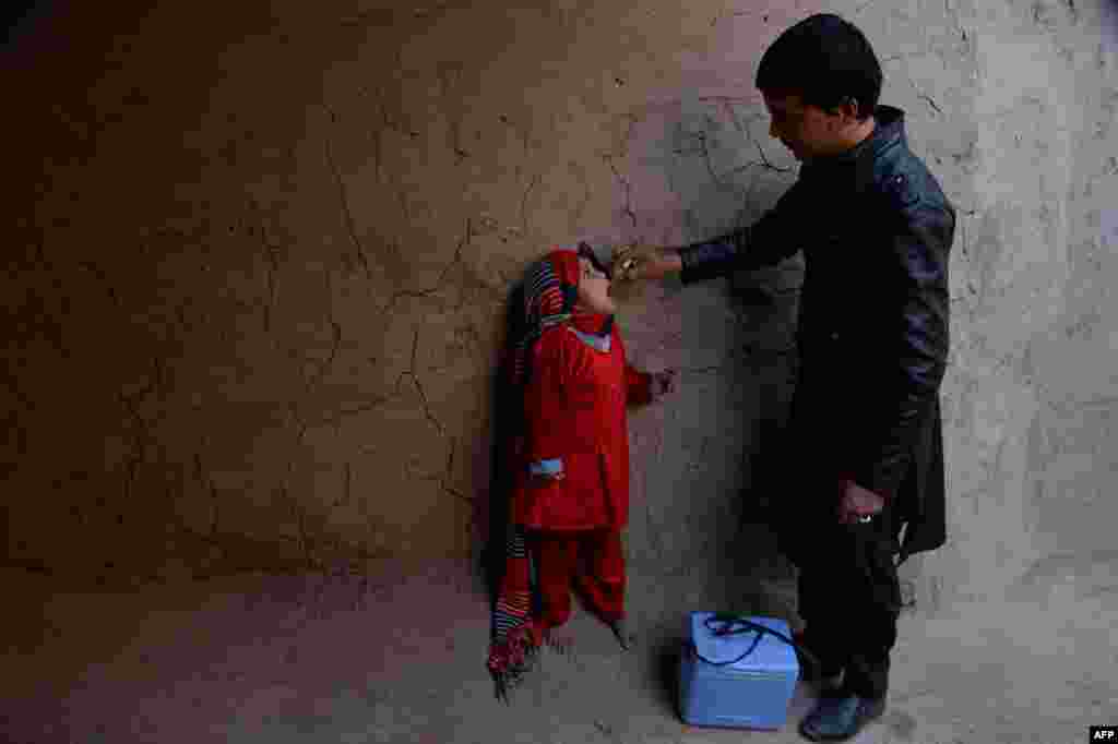 An Afghan health worker administers the polio vaccine to a child during a vaccination campaign on the outskirts of Jalalabad. Polio, once a worldwide scourge, is endemic in just three countries now: Afghanistan, Nigeria, and Pakistan. (AFP/Noorullah Shirzada)