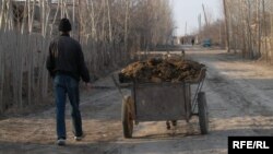 В предыдущие годы в Узбекистане наблюдались случаи, когда в Ферганской области школьников заставляли принести по мешку навоза. 