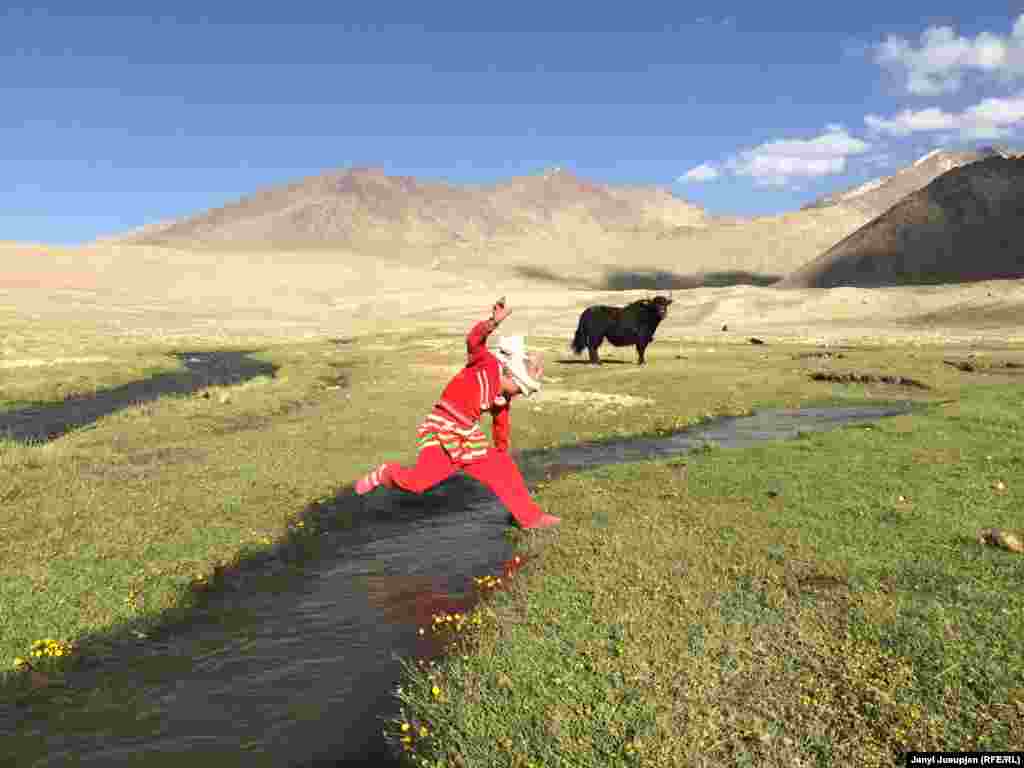 A girl jumps over a creek with a yak looking on. Yaks are the main source of income and work as a monetary unit for financial transactions. A yak can buy you a yurt, which costs around $300.