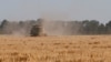 A combine harvester gathers barley in a field near the Ukrainian village of Zhovtneve.(file photo)