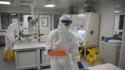 Laboratorija "Vatreno oko" u Beogradu gde se obrađuju testovi na korona virus