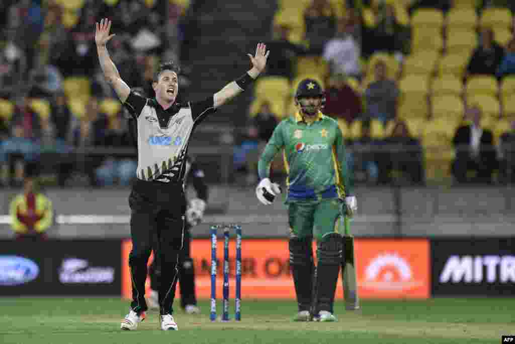 New Zealand -- Adam Milne (L) of New Zealand appeals for a catch on Anwar Ali of Pakistan during the third T20 cricket match between New Zealand and Pakistan at Westpac Stadium in Wellington on January 22, 2016.