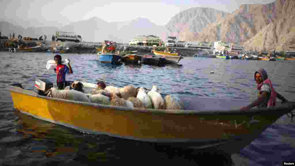 Oman -- Iranian smugglers drive a boat loaded with sheep at the port of Khasab, 26Sep2012