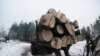 Вырубка лесов в России (архивное фото)