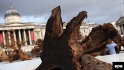 Mementó: az erdőpusztulásra emlékeztető hatalmas fatönk a londoni Trafalgar téren