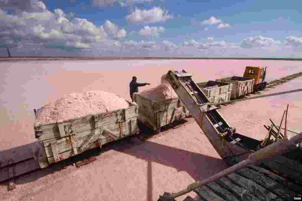 Рожеву сіль засипають у вагони після збору, озеро Сасик-Сиваш, недалеко від Євпаторії.