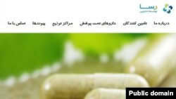 شبنم نعمتزاده، دختر وزیر سابق صنعت به فعالیتهای مجرمانه در شرکت توسعه دارویی رسا متهم شده است