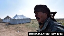 SDF üzvü