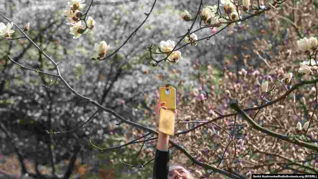 Дівчина фотографує магнолії в ботанічному саду імені Фоміна. Київ, 7 квітня 2020 року