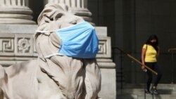 Статуя льва в маске у здания библиотеки в Нью-Йорке.