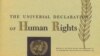 ریشه‌های اعلامیه جهانی حقوق بشر
