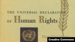 اعلامیه جهانی حقوق بشر