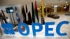 دو عضو اوپک از توافق برای تمدید کاهش تولید نفت خبر دادند