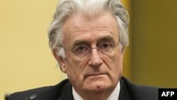 Radovan Karadžić u sudnici