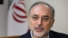 صالحی: تیم هسته‌ای ایران تمایل زیادی برای توافق دارد 