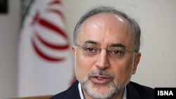 علی اکبر صالحی رییس سازمان انرژی اتمی ایران