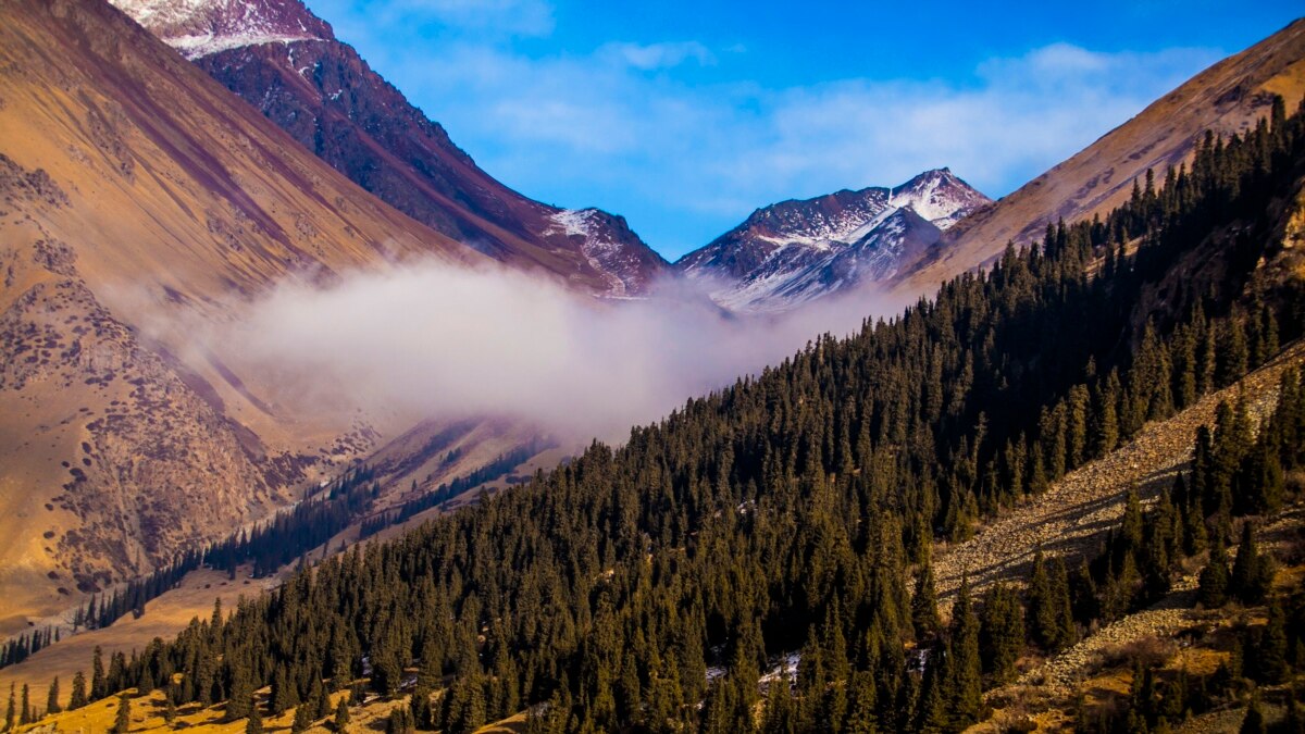 Токой. АК Шыйрак. АК Шыйрак село. Чолпон Атинское ущелье. АК Шыйрак фото.