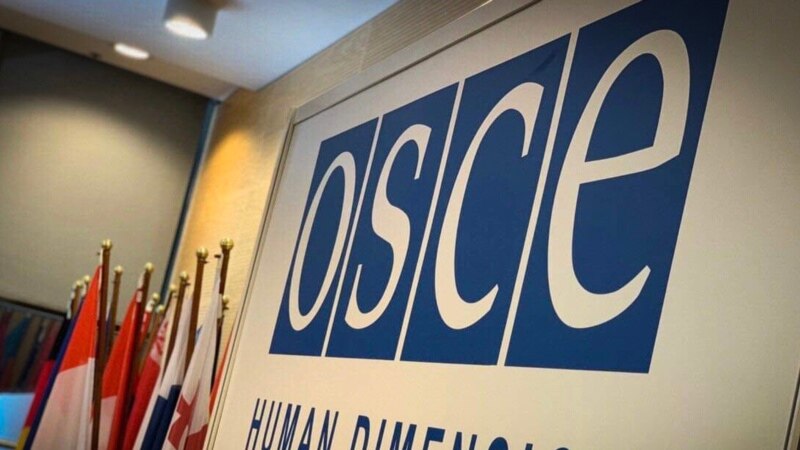 Украина в ОБСЕ осудила земельный указ Путина в Крыму