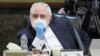 آقای دوبوویتز می‌گوید محمدجواد ظریف و وزارت خارجه ایران نقش بسیار مهمی را در سوءاطلاع‌رسانی در مورد کرونا بازی کرده‌اند.