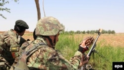 Members of the Afghan security forces take position during an operation against Taliban fighters in Helmand's Marjah district May 20. 