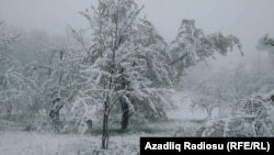 Yardımlı rayonu Ostayır kəndi, 20 aprel 2019