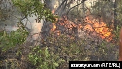 Հրդեհ Բյուրականում, արխիվ