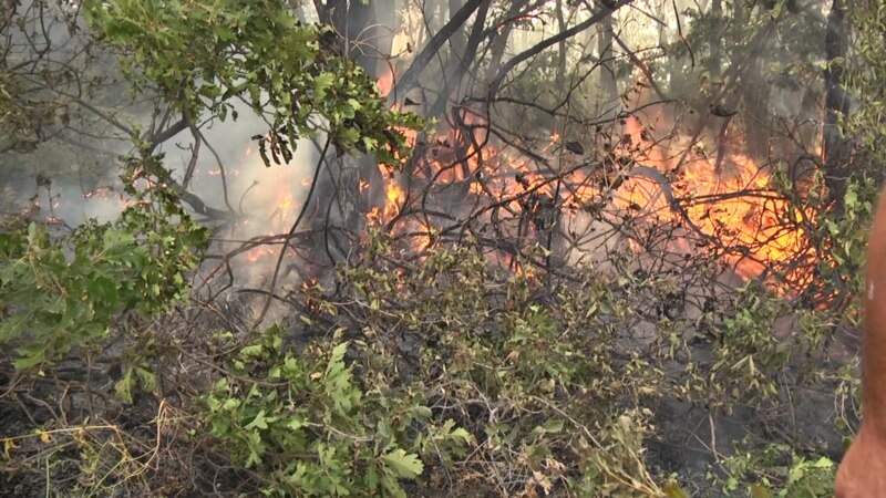 Բյուրականի հրդեհը մարված է, այրվել է մոտ 100հա խոտածածկ տարածք. ԱԻՆ