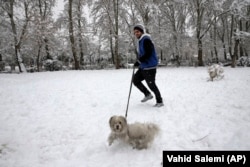 A man walks his dog in Laleh Park in central Tehran.