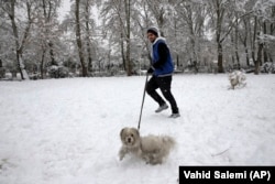 Čovjek sa svojim psom u parku Laleh u centru Teherana.