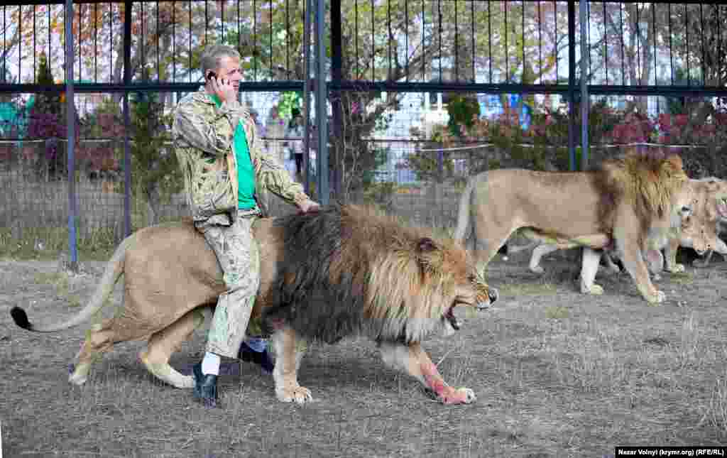 Директор парку &laquo;Тайган&raquo; Олег Зубков верхи на леві