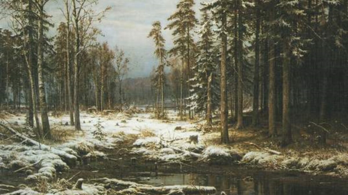 Пейзаж с точностью до былинки. Открылась выставка Ивана Шишкина