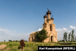 Ескі шіркеу маңында арқандалған жылқы. Дербісек ауылы, 5 маусым 2020 жыл.