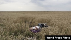 Один из серии снимков с места падения тел пассажиров и обломков MH17, сделан 17 июля 2014 года. Победитель конкурса WPP-2015