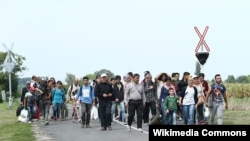 Мигранты на границе Венгрии и Австрии