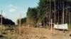 Image result for "Мікалай Казак,"