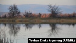 У пруда в селе Подгорное