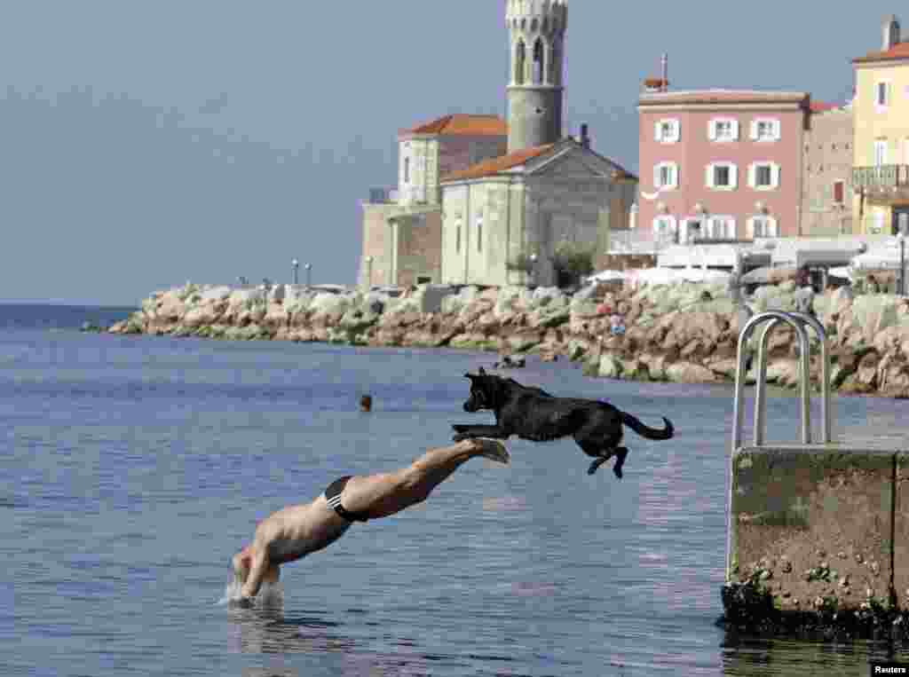 A man and his dog jump into the sea in Piran, Slovenia. (Reuters/Srdjan Zivulovic)