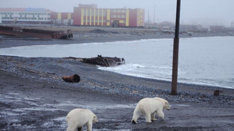 Satellite Imagery Points To Uptick In Activity At Russian Arctic Nuclear Testing Site