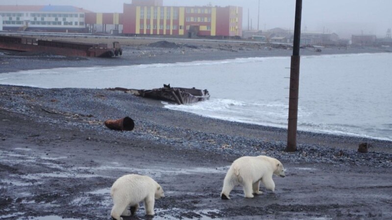 Rusija povećala aktivnosti na arktičkom poligonu za nuklearna ispitivanja