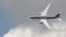 Boeing 787 Dreamliner жолаушы ұшағы (көрнекі сурет)