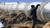Gazul rusesc importat de România s-ar putea opri, din cauza negocierilor ruso-ucrainene.