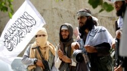 شماری از جنگجویان طالبان در افغانستان