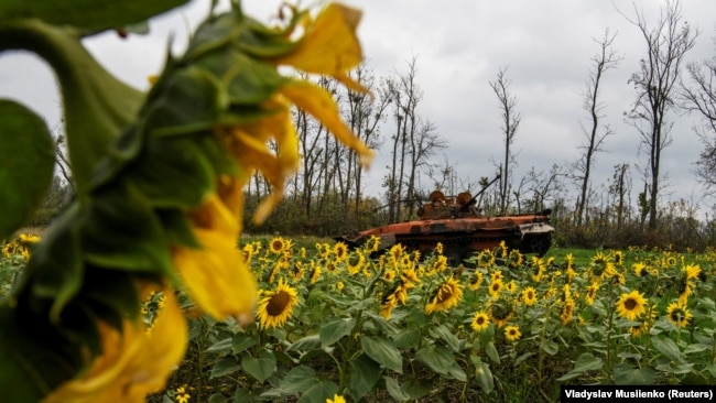 Знищена російська бойова машина піхоти БМП-2 серед українськіх полів