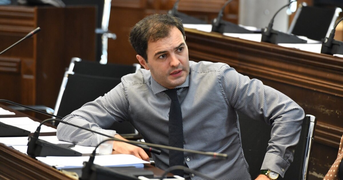 ვანო ზარდიაშვილი სახელმწიფო ელექტროსისტემის გენერალური დირექტორი გახდა